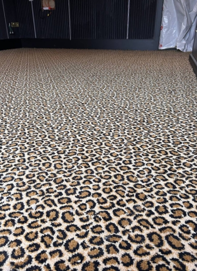 carpet-6